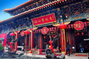 黄大仙三肖三码必中三|探索城市新魅力让旅行更精彩_冰爽型.5.332